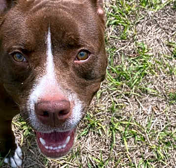 Photo of Nellie
