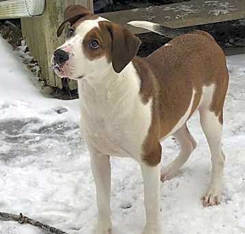 Photo of Tank
