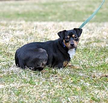 Photo of Lacey