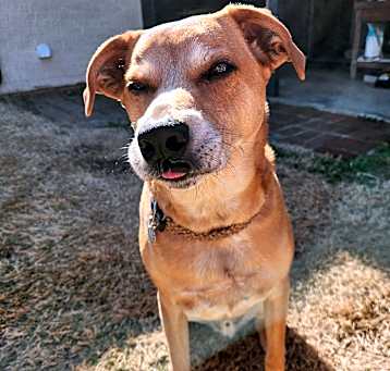 Photo of Cooper R