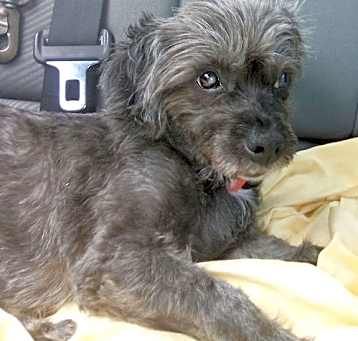 Photo of HERA
