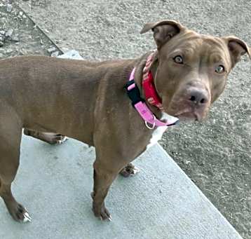 Photo of Jill