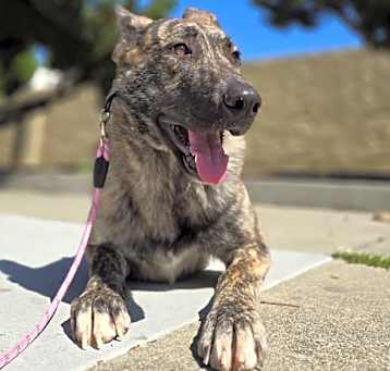 Photo of Kinzie