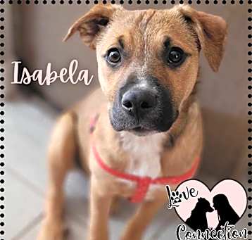Photo of Isabela