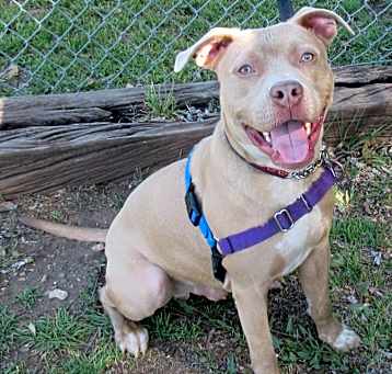 Photo of Cash