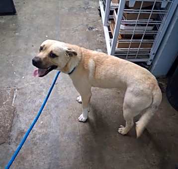 Photo of Oliver