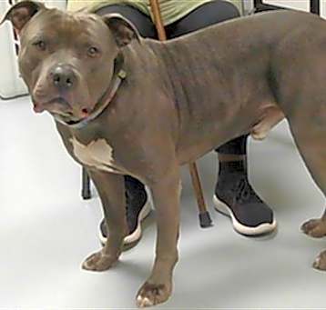 Photo of ACE