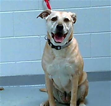 Photo of MOLLY