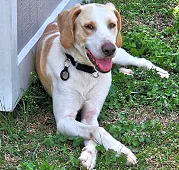 Photo of Winston