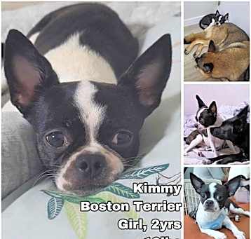 Photo of Kimmy from Korea