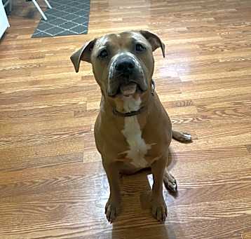 Photo of Star