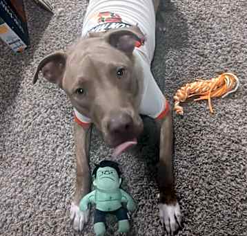 Photo of Oscar