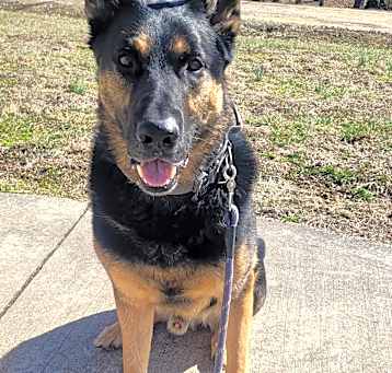 Photo of Blue