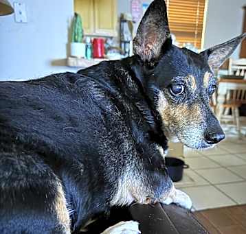 Photo of Angel