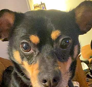 Photo of Jax