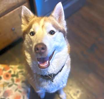 Photo of Ponyo