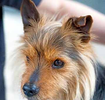 Photo of Major