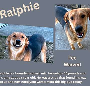 Photo of Ralphie