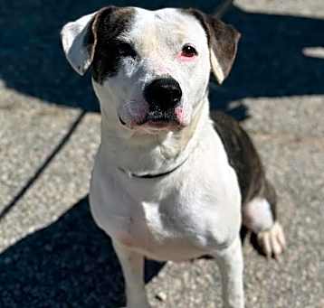 Photo of Calypso