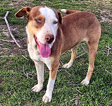 Photo of Floyd