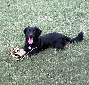 Photo of Luke