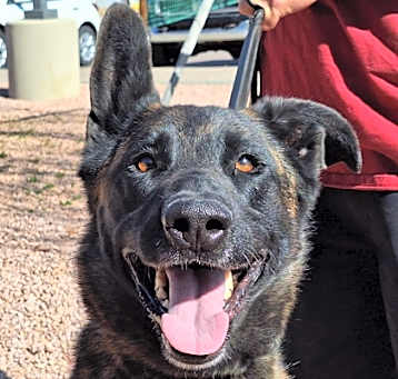 Photo of Gunnar