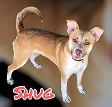 Photo of SHUG