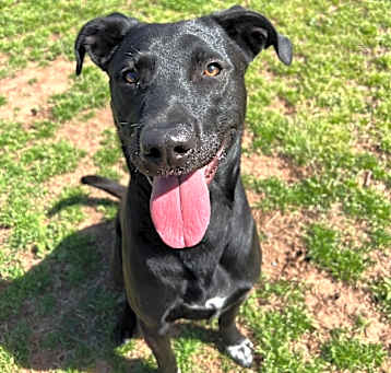 Photo of Brody