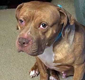 Photo of Coco