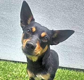 Photo of Lady Sable in LA