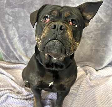 Photo of Armani