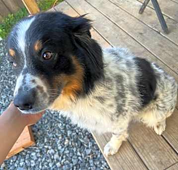 Photo of Copito