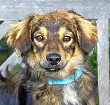 Photo of Riggs