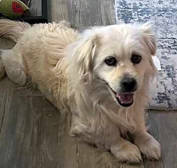 Photo of Sonnie