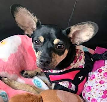 Photo of Wednesday