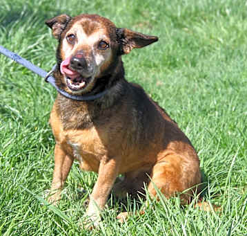 Photo of Charlie (Photos 4/7/2025)