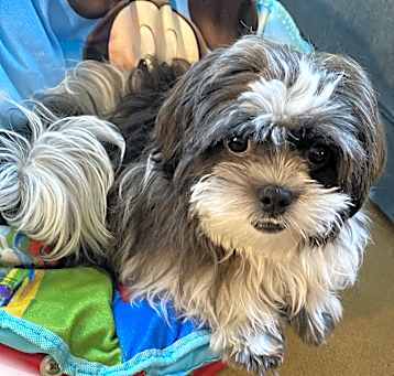 Photo of Candy