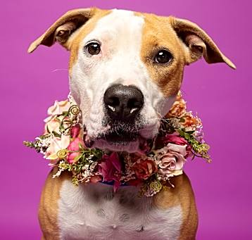 Photo of SPROUT