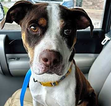 Photo of Sentry
