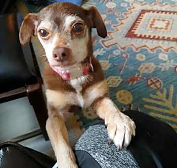 Photo of Senya
