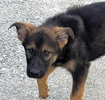 Photo of Major