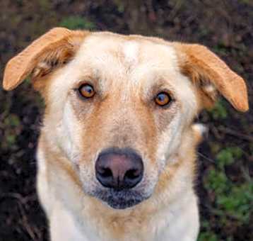 Photo of Mischief (real name) 705616