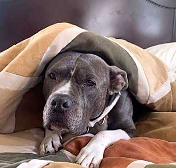 Photo of Nahla