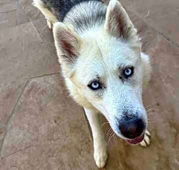 Photo of Kai
