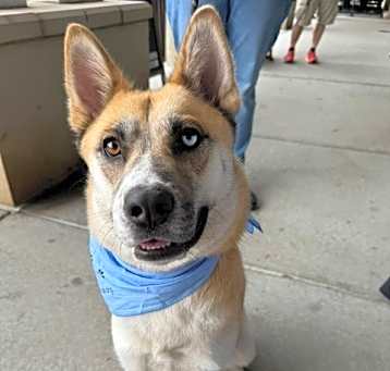 Photo of Sadie Sue