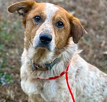 Photo of Woodrow
