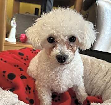Photo of Fiona