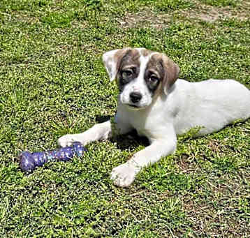 Photo of Zuri