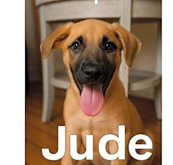 Photo of JUDE