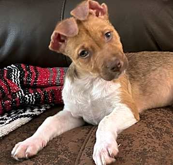 Photo of Allie
